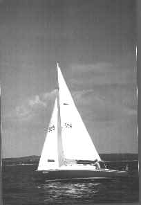 shark 24 sailboat interior