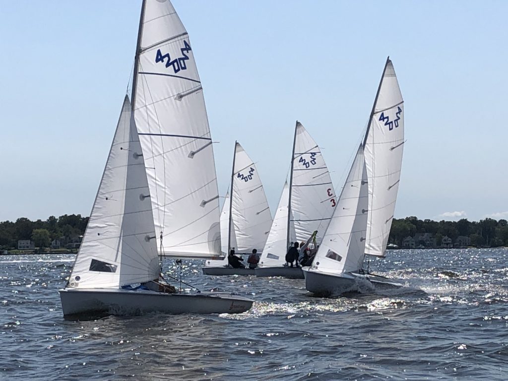 Four small sailboats with white sails glide closely together on a sunlit, slightly wavy body of water. The shoreline with trees and houses is visible in the background under a clear sky.
