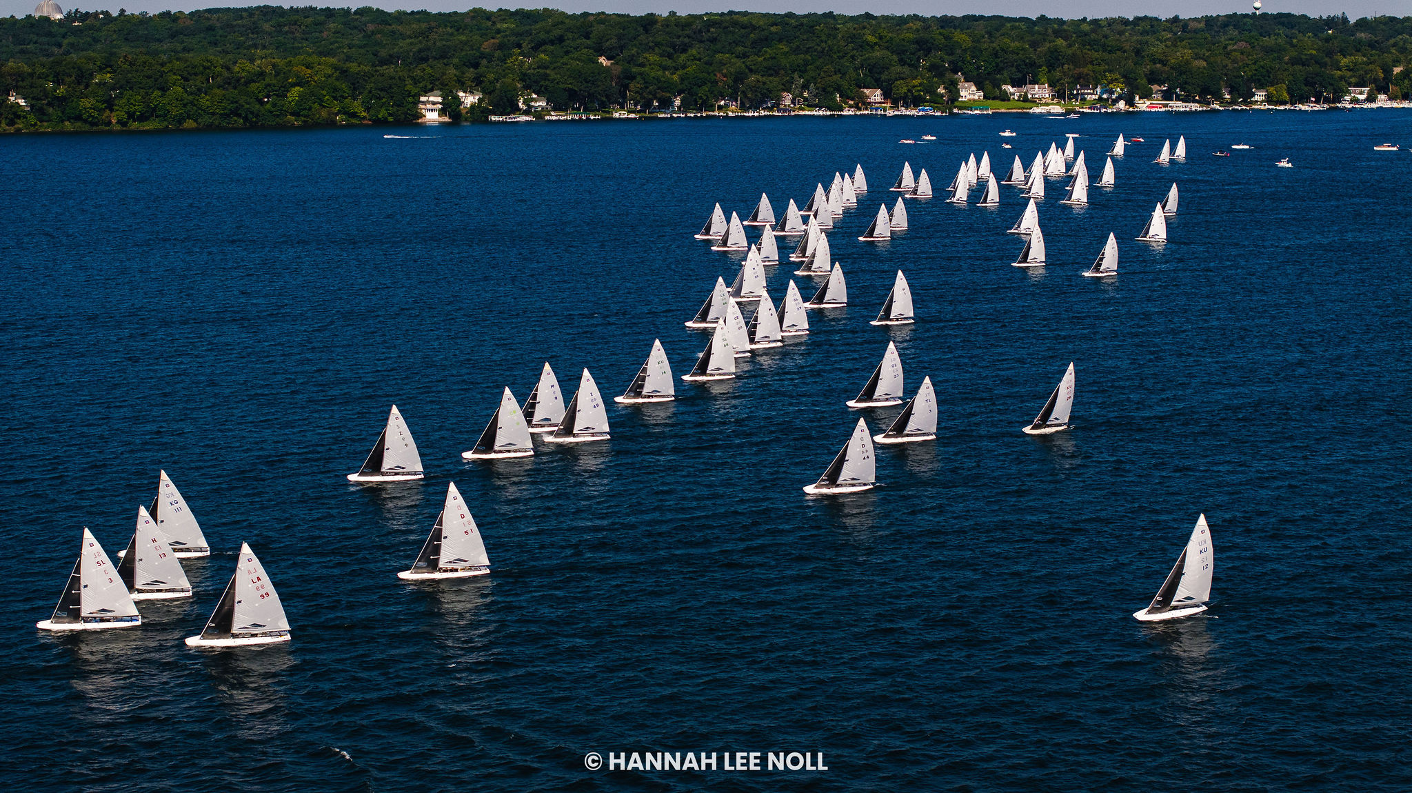 Dozens of white sailboats race in neat lines across deep blue water, with a forested shoreline and houses visible in the background.