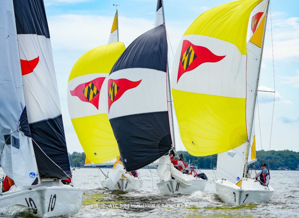 Several sailboats with colorful yellow, black, and white sails, racing closely on the water near a shoreline with trees in the background. Sail numbers 10 and 11 are visible.