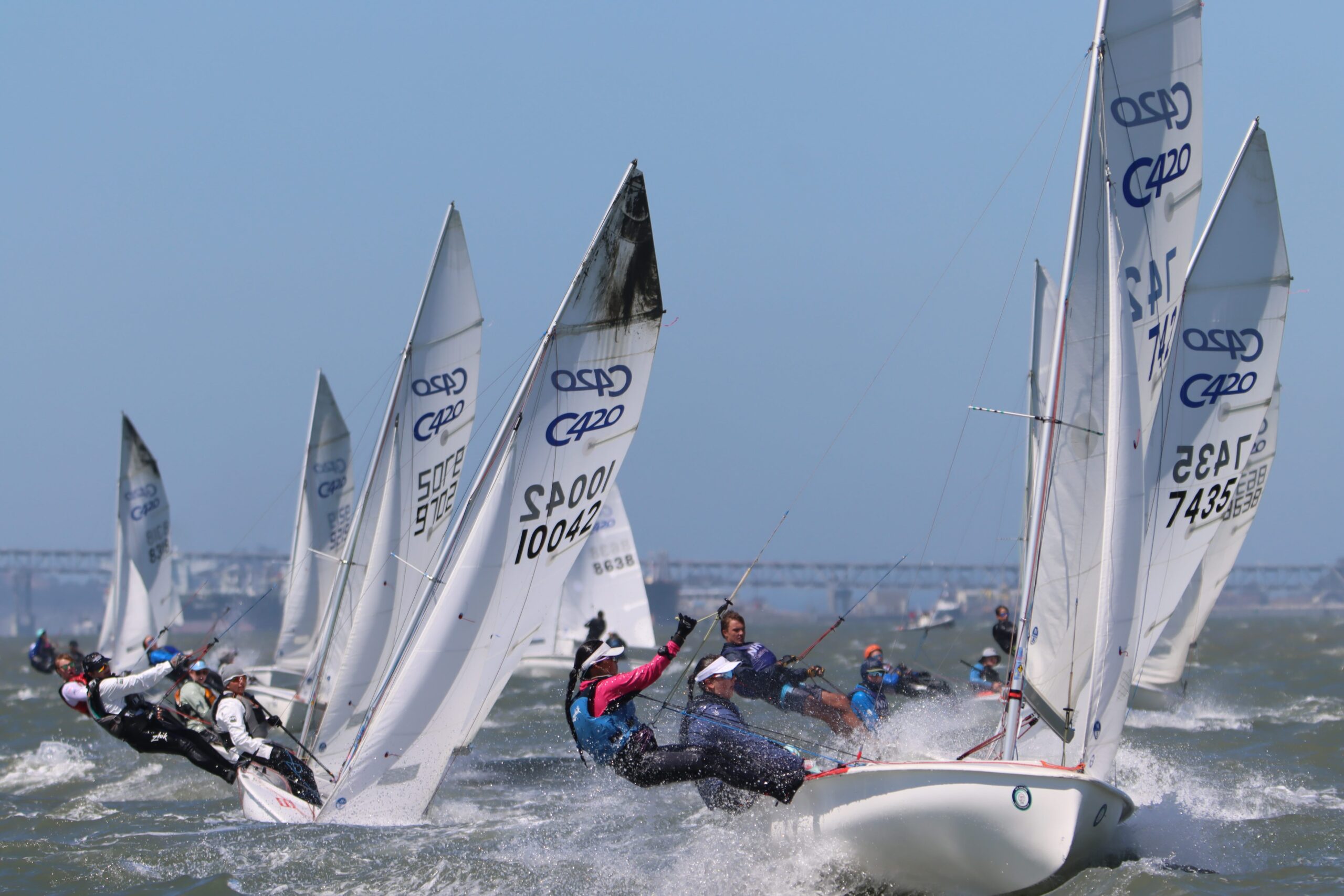 Several sailboats with “420” on their sails race closely together on choppy water, with sailors leaning out intensely, blue sky above, and a distant bridge in the background.